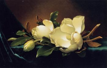 馬丁 約翰遜 赫德 Two Magnolias and a Bud on Teal Velvet 馬丁 約翰遜 赫德 Two Magnolias and a Bud on Teal Velvet